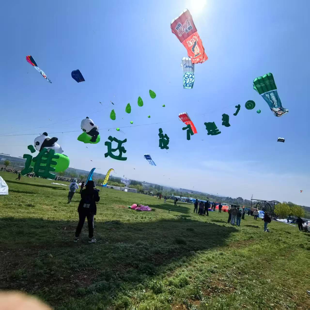 菏泽市风筝商业放飞风筝定制 - 一站式服务